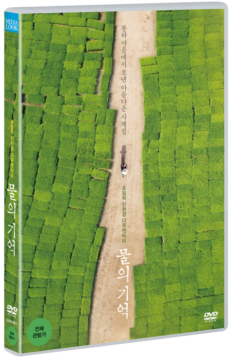 물의 기억