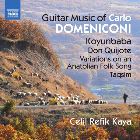 GUITAR MUSIC/ CELIL REFIK KAYA [도메니코니: 기타 음악 작품집 - 세릴 레픽 카야]