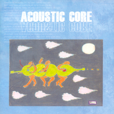 ACOUSTIC CORE