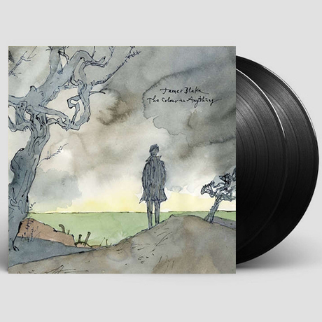 THE COLOUR IN ANYTHING [LP]