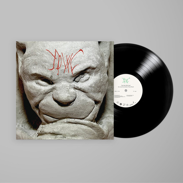 YOUR DAY WILL COME [LP]