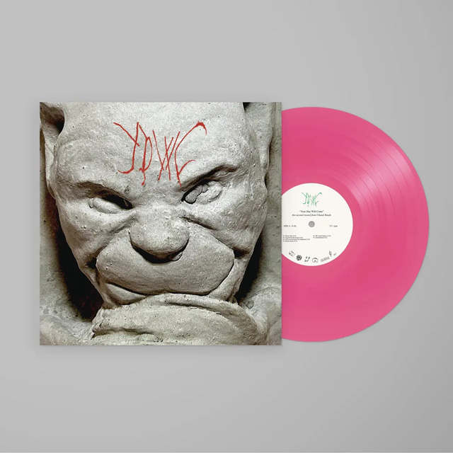 YOUR DAY WILL COME [PINK LP]