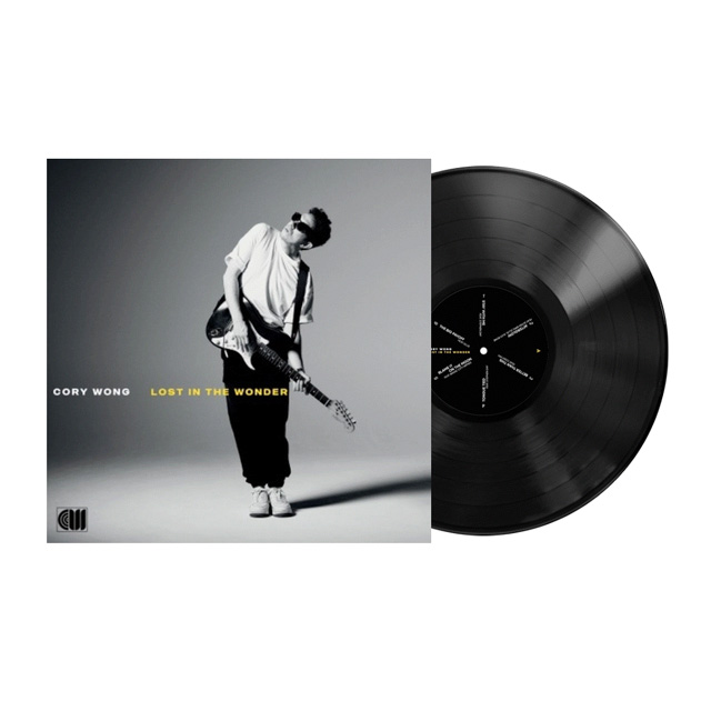 LOST IN THE WONDER [LP]