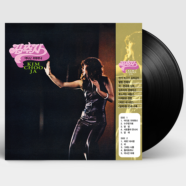 어디로 가야하나 [180G LP]