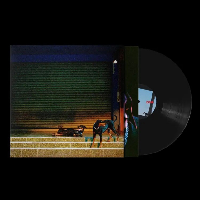 PURE DEVOTION  [LP]