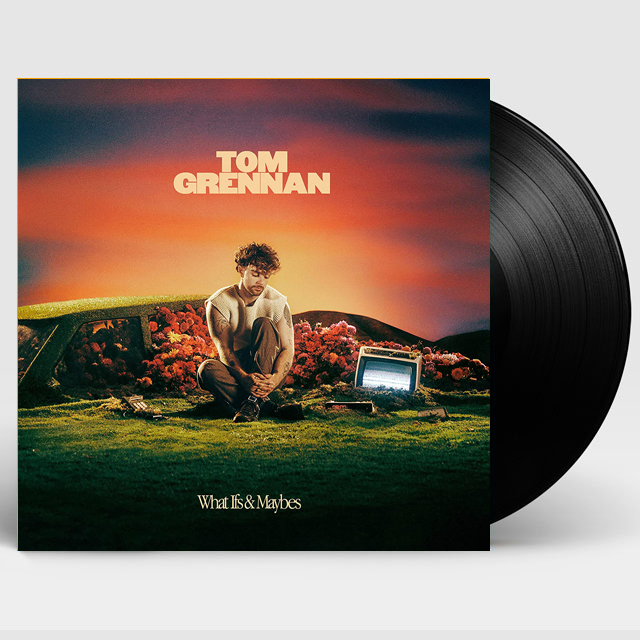 WHAT IF`S & MAYBE`S [LP]