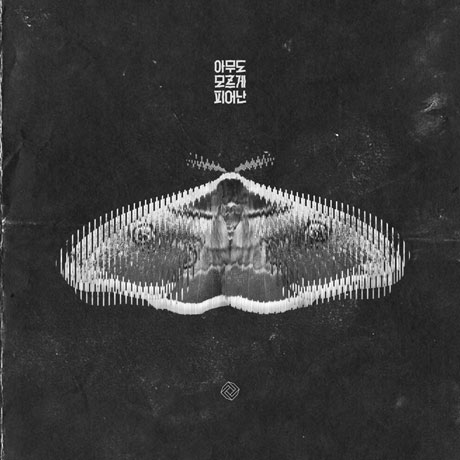 아무도 모르게 피어난 [EP]