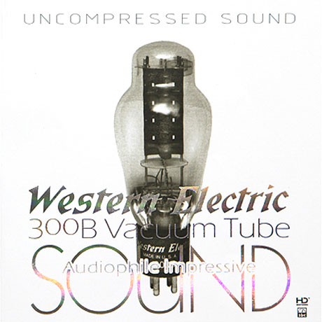 WESTERN ELECTRIC: 300B VACUUM TUBE - AUDIOPHILE IMPRESSIVE SOUND