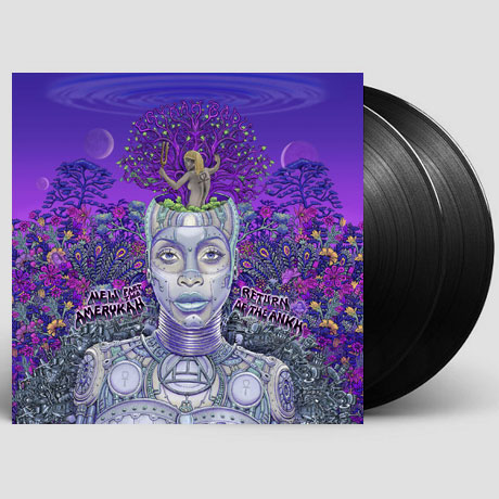 NEW AMERYKAH PART TWO: RETURN OF THE ANKH [LP]