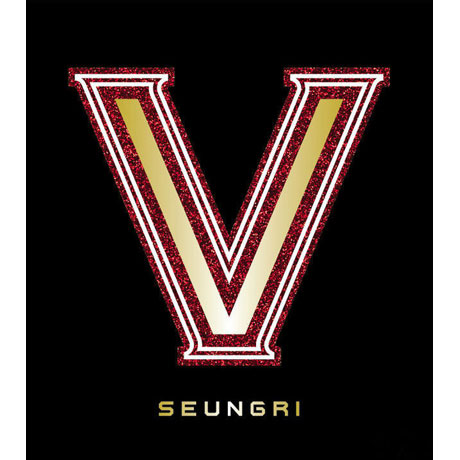 V.V.I.P [미니 1집]