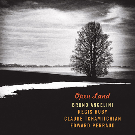 OPEN LAND