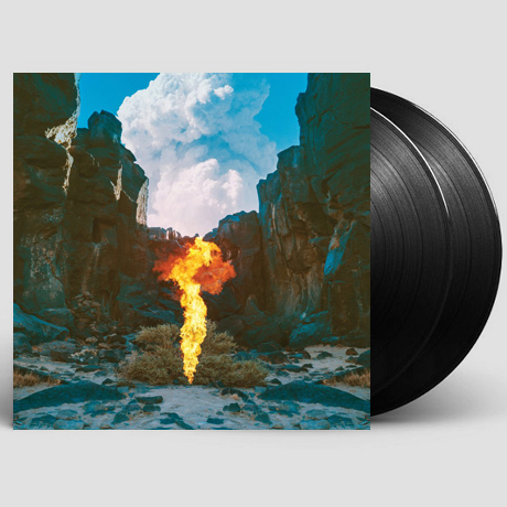 MIGRATION [180G LP]