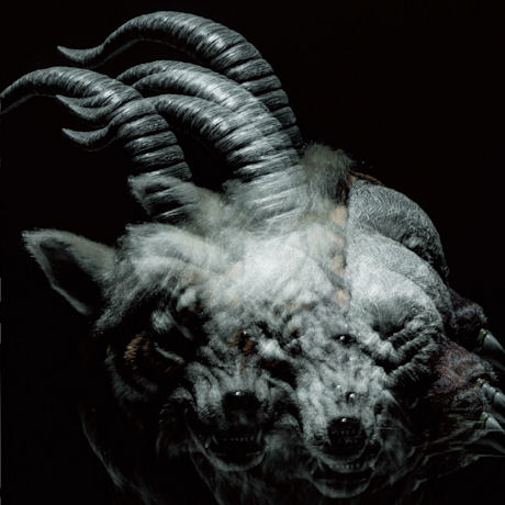 BEAUTIFUL DEFORMITY