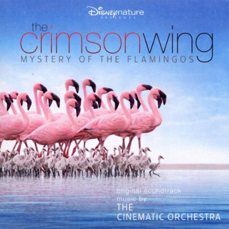 THE CRIMSON WING: MYSTERY OF THE FLAMINGOS