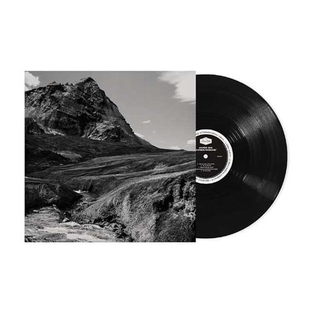 OUTSIDE PROBLEMS [LP]