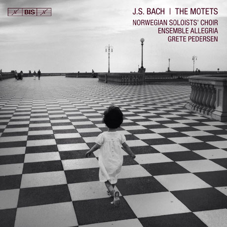 THE MOTETS/ GRETE PEDERSEN [SACD HYBRID] [바흐: 모테트집 - 노르웨이 솔리스트 합창단, 앙상블 알레그리아]