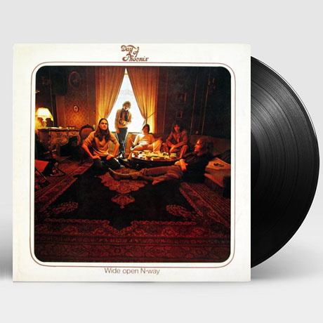 WIDE OPEN N-WAY [LP]