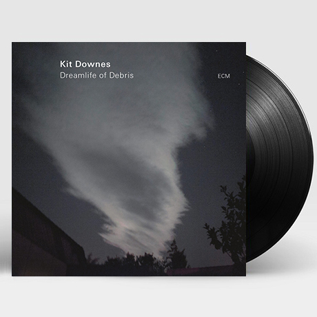 DREAMLIFE OF DEBRIS [180G LP]