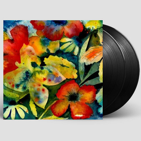 SONGS AND INSTRUMENTALS [LP]