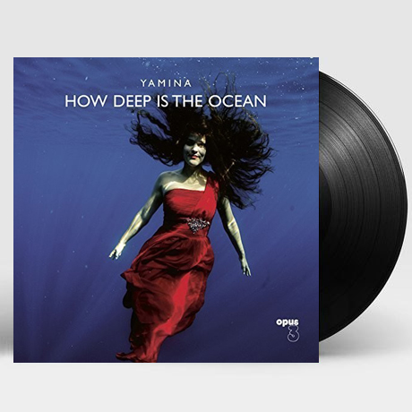 HOW DEEP IS THE OCEAN [180G LP]