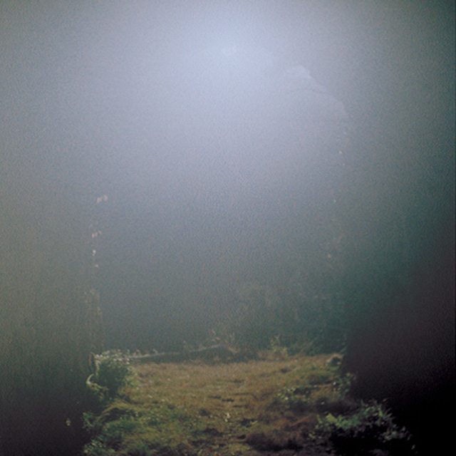 VENUS PENGUIN [CLEAR LP]