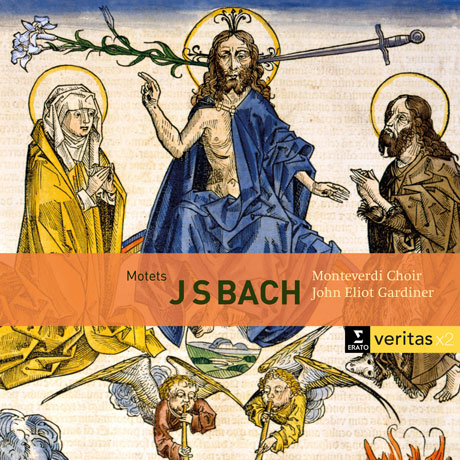 MOTETS & CANTATAS/ JOHN ELIOT GARDINER [VERITAS X2] [바흐: 모테트 & 칸타타 - 가디너]