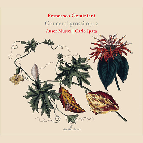 CONCERTI GROSSI OP. 2/ AUSER MUSICI, CARLO IPATA [GLOSSA CABINET] [제미니아니: 합주 협주곡집 - 아우저 무지치]