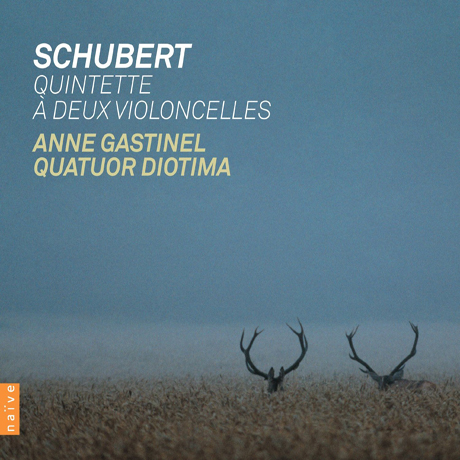 QUINTETTE A DEUX VIOLONCELLES/ ANNE GASTINEL, QUATUOR DIOTIMA