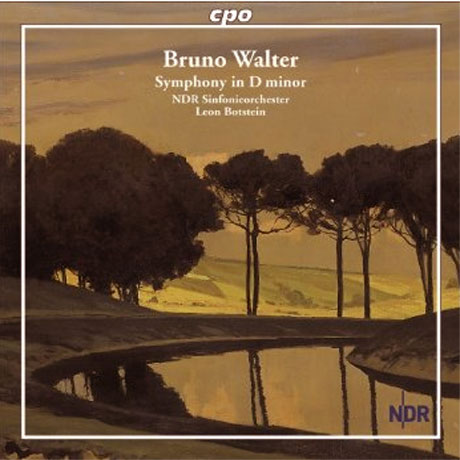 SYMPHONY IN D MINOR/ LEON BOTSTEIN