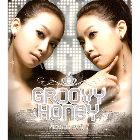 GROOVY HONEY HOUSE VOL.1
