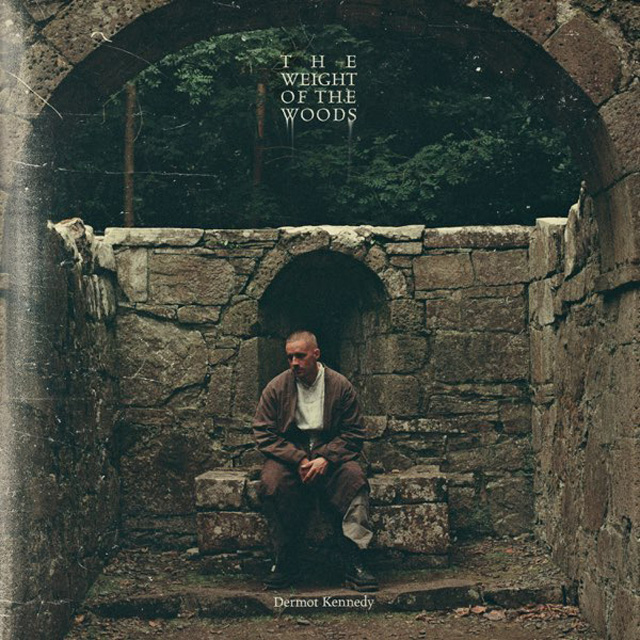 THE WEIGHT OF THE WOODS