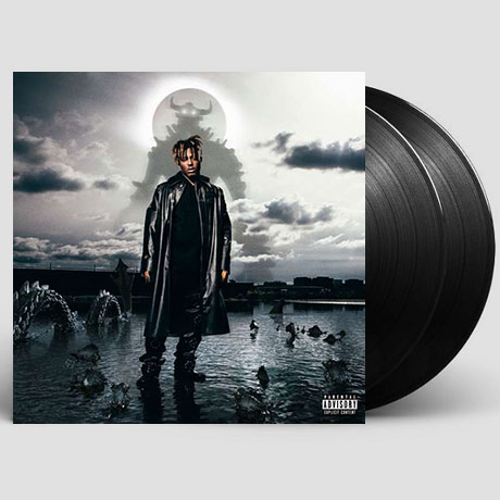 FIGHTING DEMONS [LP]