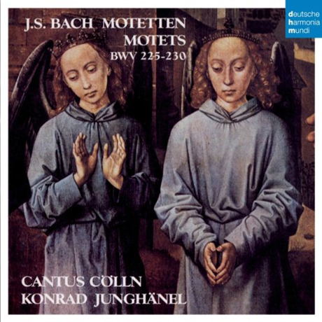 MOTETS/ KONRAD JUNGHANEL