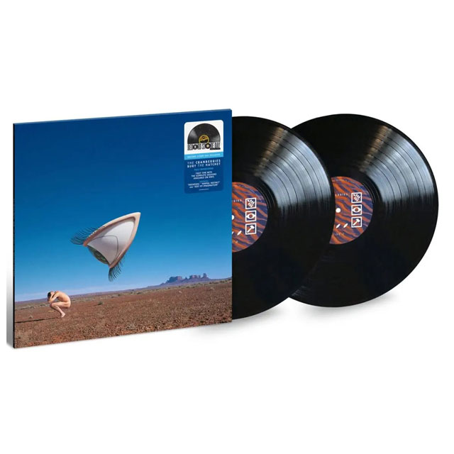 BURY THE HATCHET [RSD 2024] [LP]