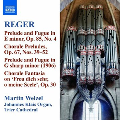 ORGAN WORKS 10/ MARTIN WELZEL