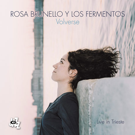 VOLVERSE