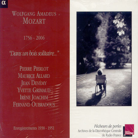 DANS UN BOIS SOLTAIRE...