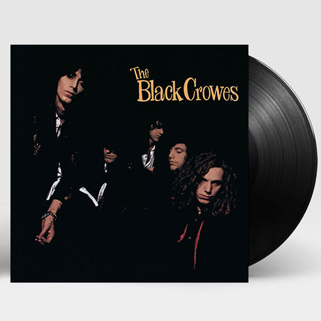 SHAKE YOUR MONEY MAKER [30TH ANNIVERSARY] [LP]