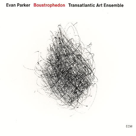 BOUSTROHEDON [좌우교대서법]