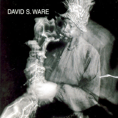 LIVE IN THE NETHERLANDS