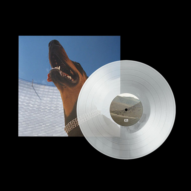 GOOD LIES [CLEAR LP]