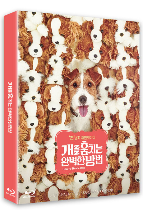 개를 훔치는 완벽한 방법 [풀슬립 한정판]