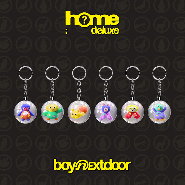 HOME: DELUXE [1ST STUDIO ALBUM REPACKAGE] [SAFARI VER]
