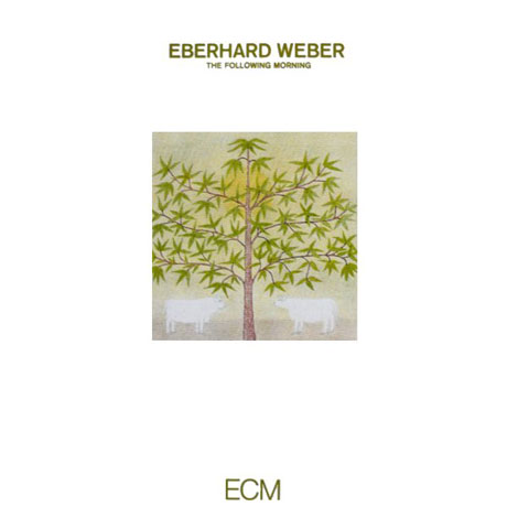 THE FOLLOWING MORNING