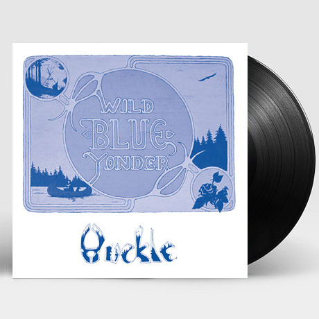 WILD BLUE YONDER [LP] [한정반]