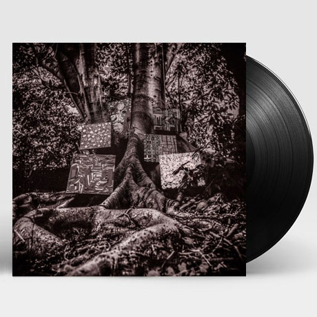 HARMONY OF DIFFERENCE [EP] [LP]