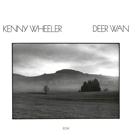 DEER WAN
