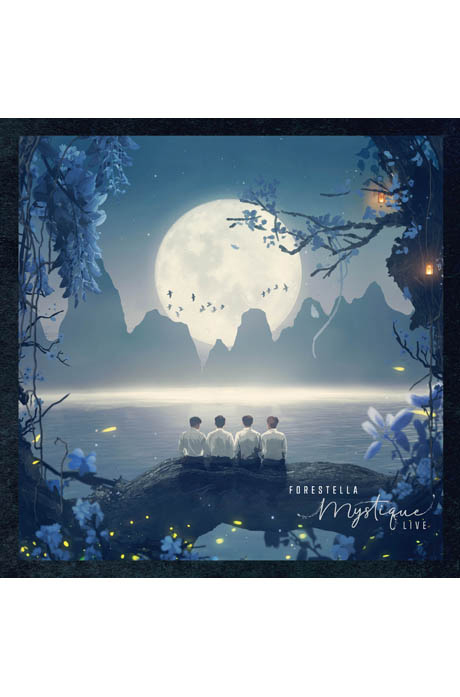 MYSTIQUE LIVE [미스티크 라이브]