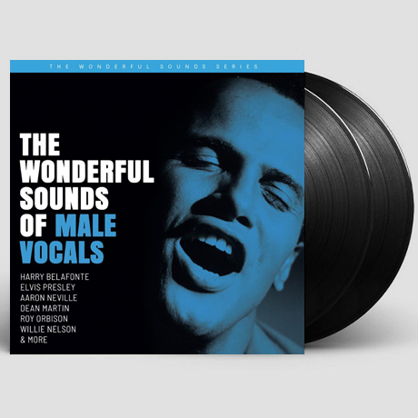 THE WONDERFUL SOUNDS OF MALE VOCALS [200G LP]