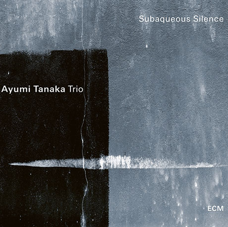 SUBAQUEOUS SILENCE